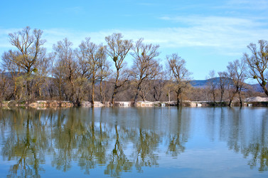 Similar image 7726164