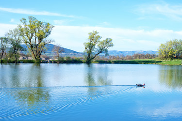 Similar image 7726269