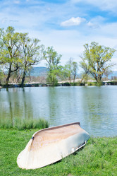 Similar image 7726288