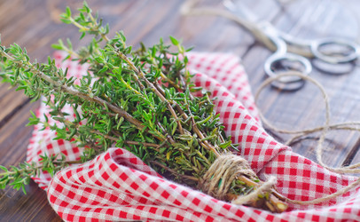 Similar image 7726292