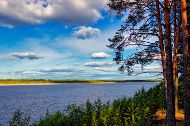 Similar image 7726310