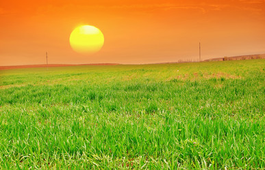 Similar image 7726570