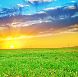 Similar image 7726581