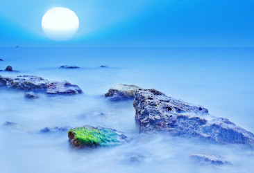 Similar image 7726624