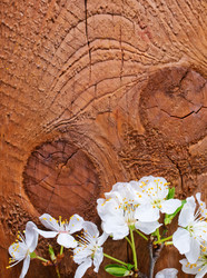 Similar image 7726629