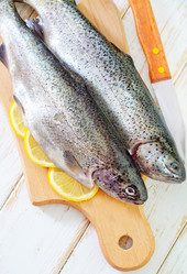 Similar image 7726639