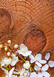 Similar image 7726642