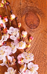 Similar image 7726653