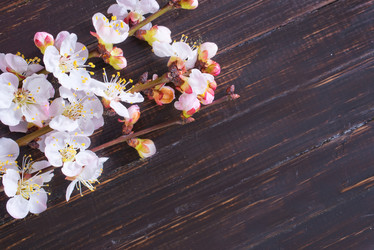 Similar image 7726655