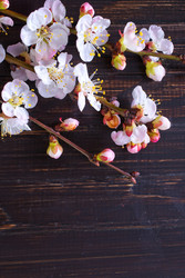 Similar image 7726656