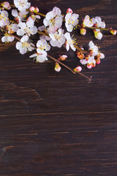 Similar image 7726657