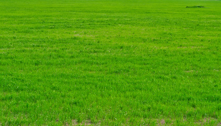 Similar image 7726719