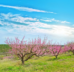 Similar image 7726793