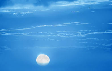 Similar image 7726799