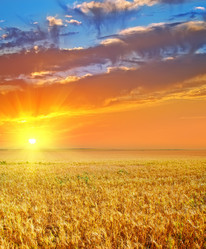 Similar image 7726822