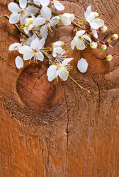 Similar image 7726906