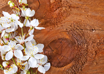 Similar image 7726907