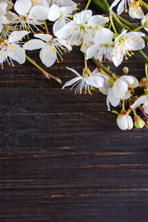 Similar image 7726908