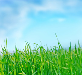 Similar image 7726964