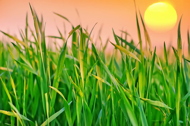 Similar image 7726981