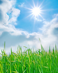 Similar image 7726991