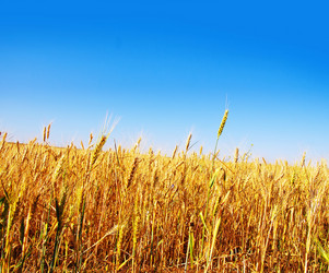 Similar image 7727078