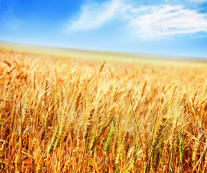 Similar image 7727090