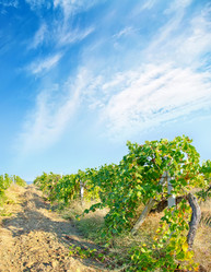 Similar image 7727205