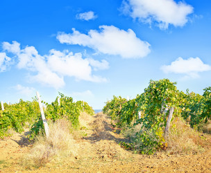 Similar image 7727330