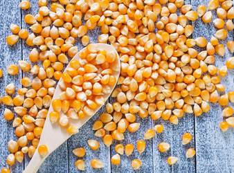 Similar image 7727332