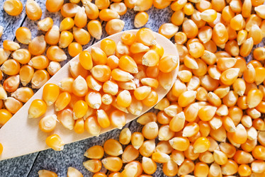 Similar image 7727344