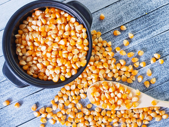 Similar image 7727349