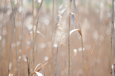 Similar image 7727364