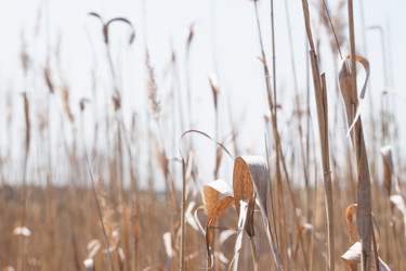 Similar image 7727368