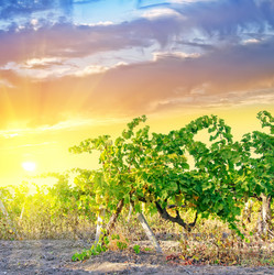 Similar image 7727410