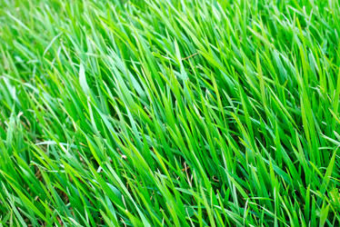 Similar image 7727417