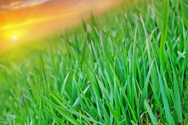 Similar image 7727423