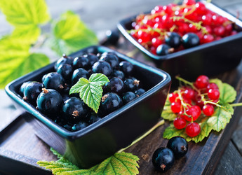 Similar image 7727470