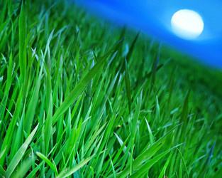 Similar image 7727492