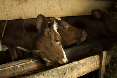 Similar image 7727942