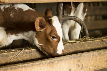 Similar image 7727943