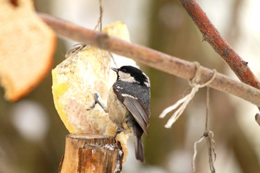 Similar image 7727944