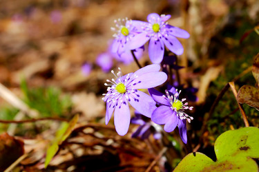 Similar image 7727946