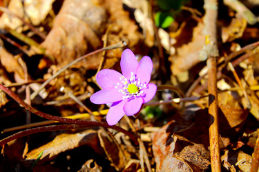 Similar image 7727947