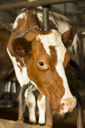 Similar image 7727948