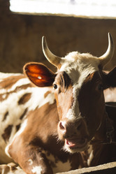 Similar image 7727949