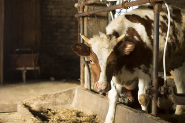 Similar image 7727950