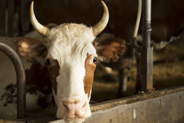 Similar image 7727951