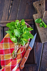 Similar image 7727959