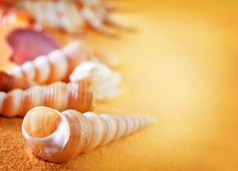 Similar image 7727993